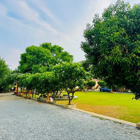 Valley Oasis Udaipur-3