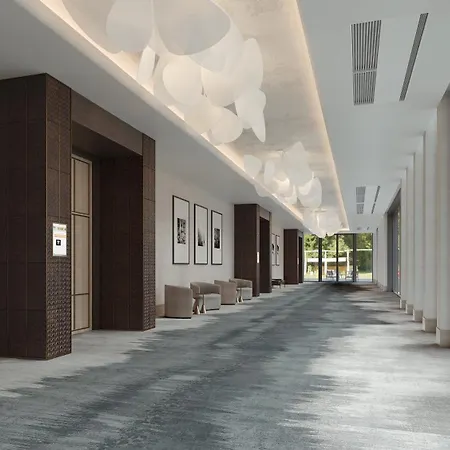 Hilton Jacksonville At Mayo Clinic-3