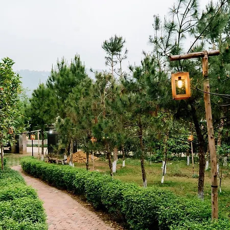 Căn Gỗ-2