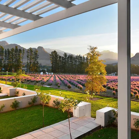 Lavender Farm Boutique Guest House-2