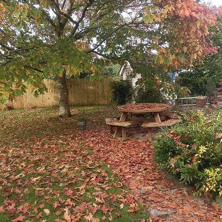 Twin Oaks Bed & Breakfast-2