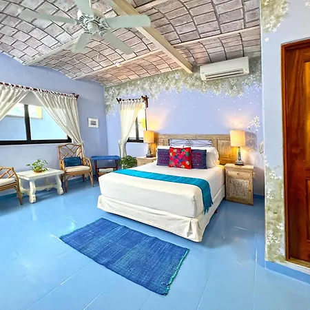 Casa Nawalli Pickleball Resort & Retreats Adults Only-3