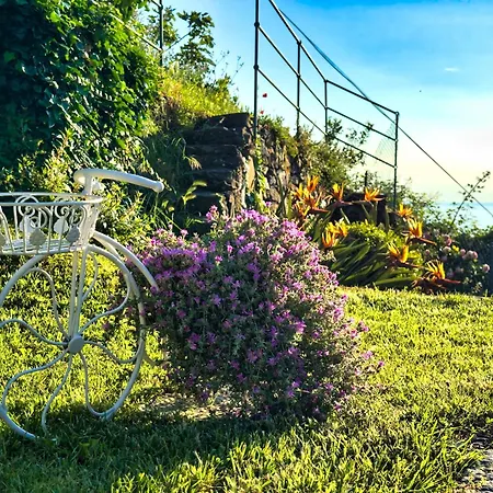 Cinqueterre Residence-2