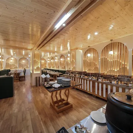 Hill River Resort - Central Heated & Air Cooled - Near Mall Road , Best Property Of Manali 2024- 2025-3