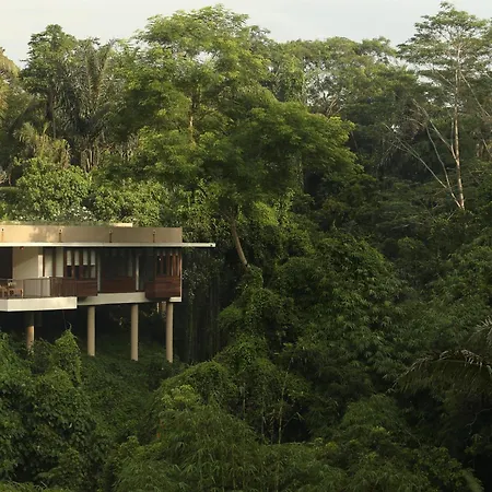Alila Ubud-2