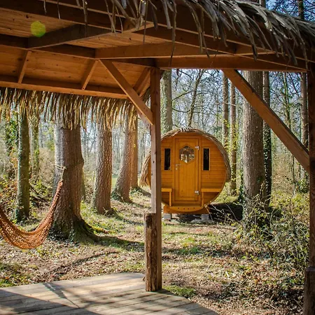 Insolite dans les arbres Les Ormes, Epiniac-2