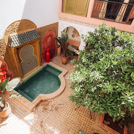 Riad Davina-2
