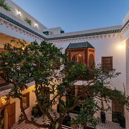 Riad Botanica-2