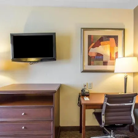 Comfort Inn & Suites-3