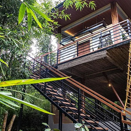 House Of Gaia-2