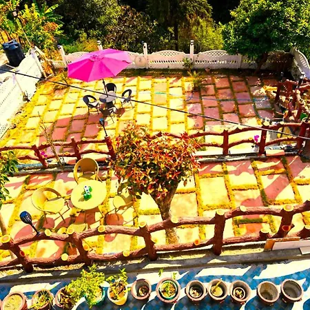 Anvi Retreat Scenic Mountain View Hotel & Resort, Nainital-3