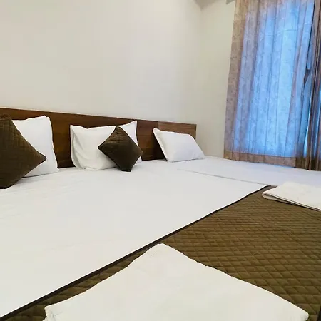Hotel Pushkar Town-2