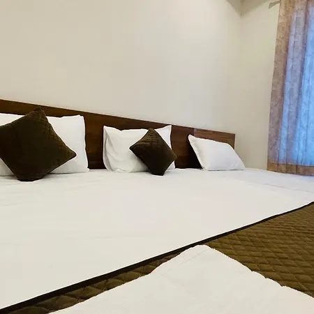 Hotel Pushkar Town-3