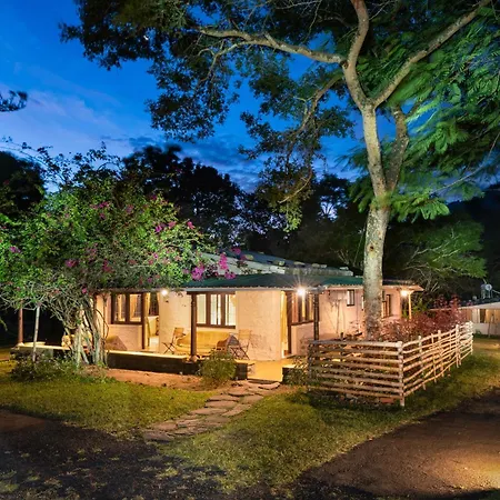 Jungle Hut Resort-3