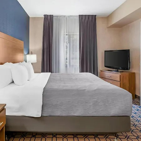 Quality Suites-3
