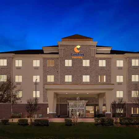 Comfort Suites Waxahachie - Dallas-2
