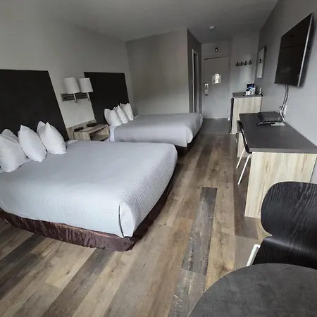 Hotel Le 625-3