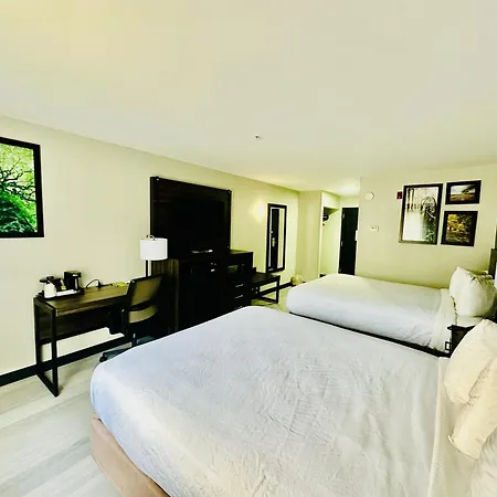 La Quinta By Wyndham Rome-3