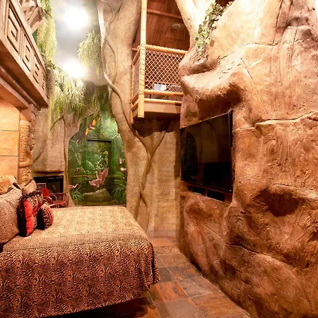 Black Swan Inn Luxurious Theme Rooms-3