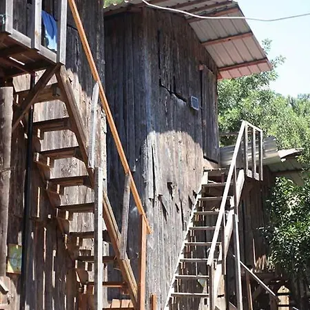 Bayrams Tree Houses-3