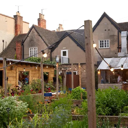 The Bull And Swan-2