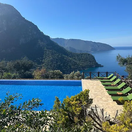 Olive Garden Kabak-2