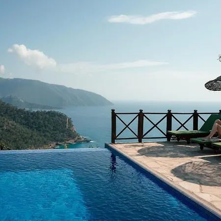 Olive Garden Kabak-3