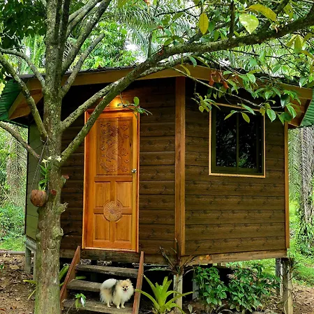 Khao Sok Silver Cliff Resort-2