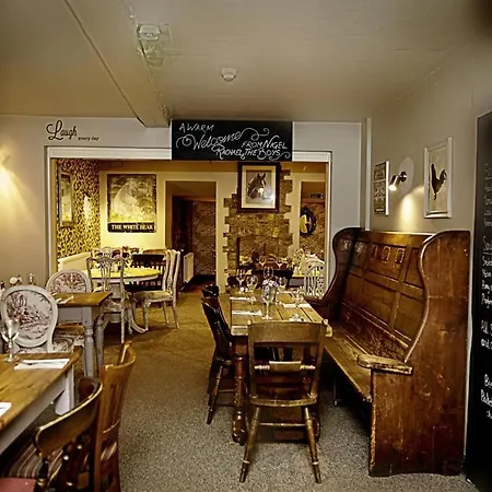 The White Bear-2