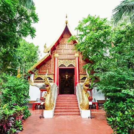 Mpower Chiangrai-2