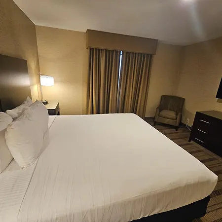 Best Western Pasadena Royale Inn & Suites-3