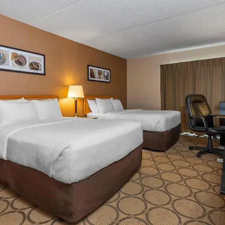 Comfort Inn Prince Albert-3