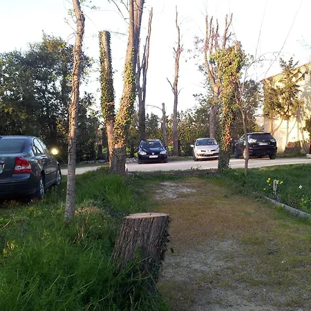 La Comtadine-2