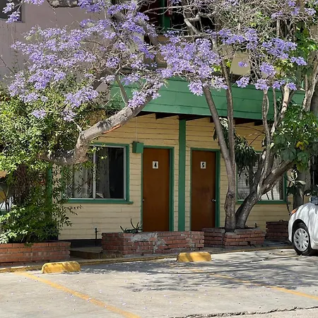Motel Maya-3