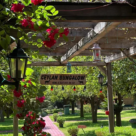Ceylan Bungalow-2