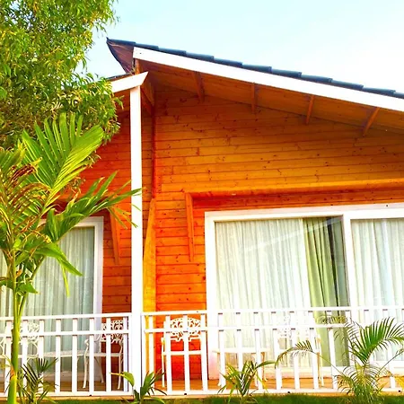 Dallas Beach Resorts Ashvem Beach-2