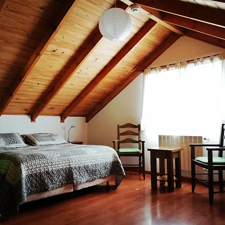 Nothofagus Bed & Breakfast-3