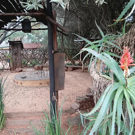 African Silhouette Guesthouse 18 Min From Airport Shuttle Included-3