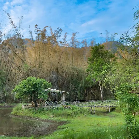 Jungle Hut Resort-2