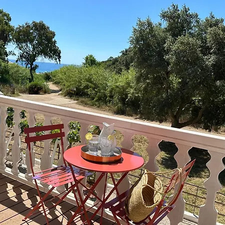 Le Clos des Sept Palmiers-3
