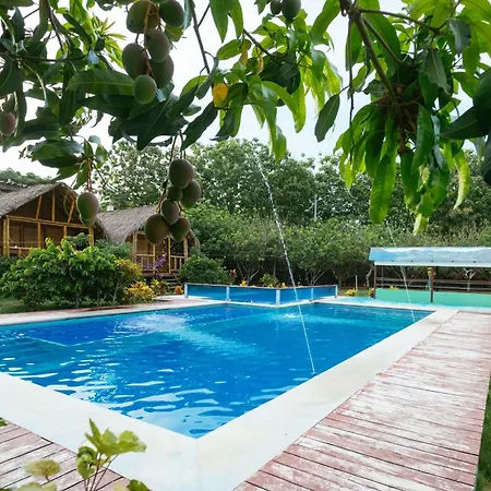 Hostal La Finquita-2