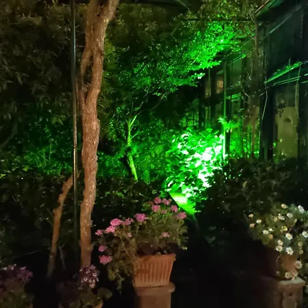 Villa Dei Fiori B&B-3
