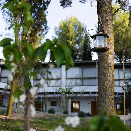 Cazorla Estelar-2