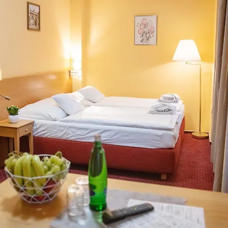 Hotel U Salzmannů-2