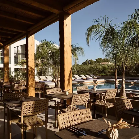 Cavo Vezal Deluxe (Adults Only)-3