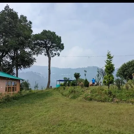 Golden Valley Cottages, Chail-3