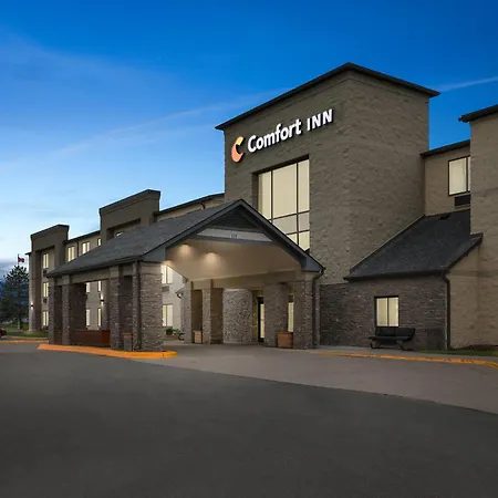 Comfort Inn Metro Airport-3