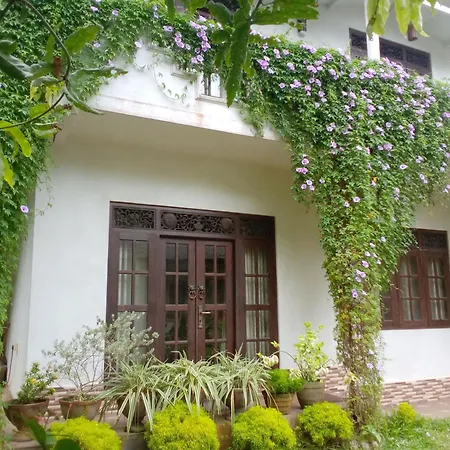 Abha Villa-2