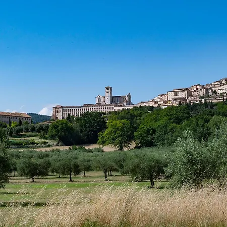 Tenuta San Masseo - Boutique Farm Resort & Spa-3