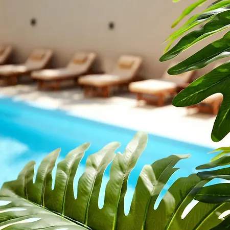 Lotus Rise Hotel - Adults Only-2
